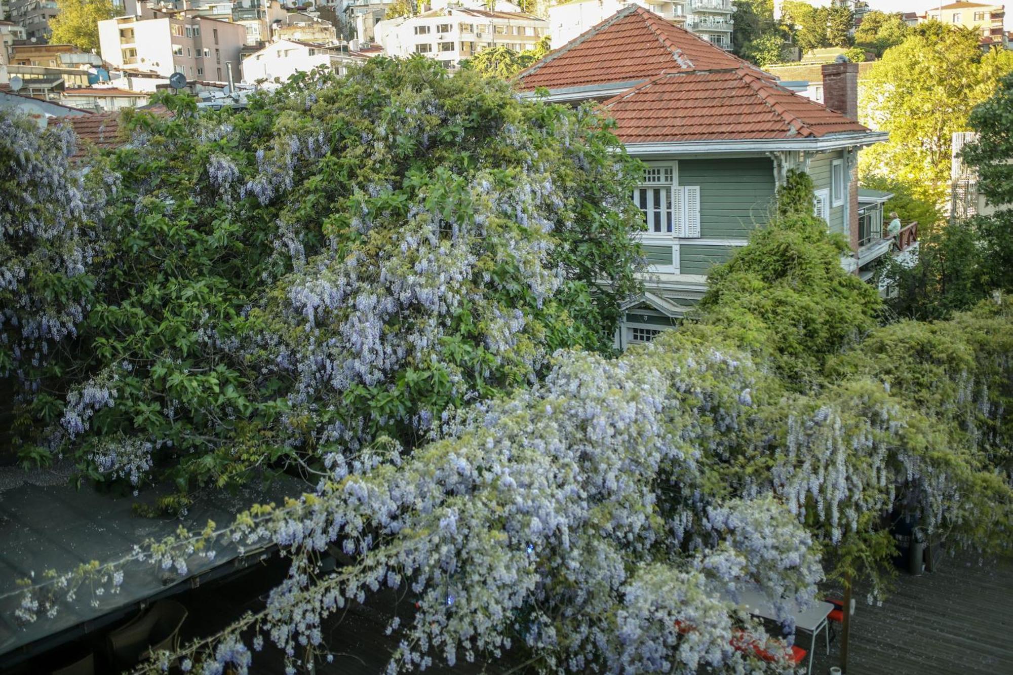 Loop Hotel Bosphorus 伊斯坦布尔 外观 照片